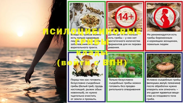 эйфоретик Вяземский