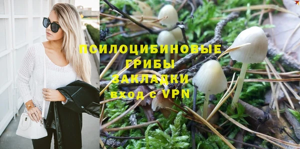 стафф Горно-Алтайск