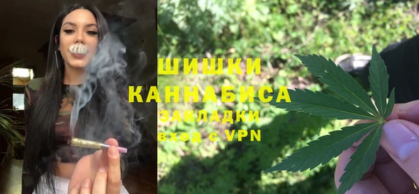 тгк Горнозаводск