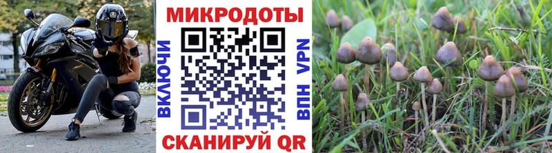 Псилоцибиновые грибы Psilocybine cubensis  ОМГ ОМГ зеркало  Домодедово 